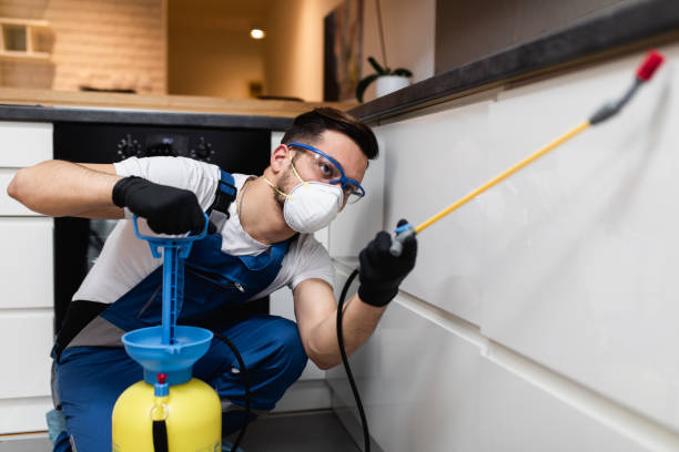 Best Emergency Pest Control  in Brenham, TX