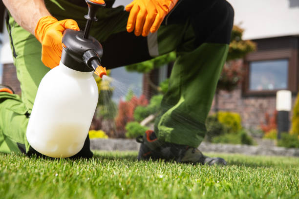Best Wasp Removal Services  in Brenham, TX