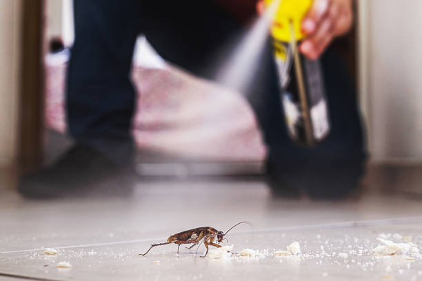 Best Bed Bug Extermination  in Brenham, TX