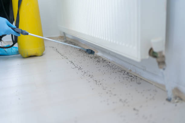 Best Affordable Exterminators  in Brenham, TX