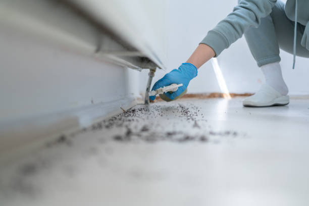 Best Pest Removal Services  in Brenham, TX