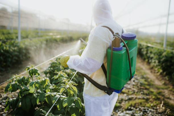 Brenham, TX Pest Control Pros